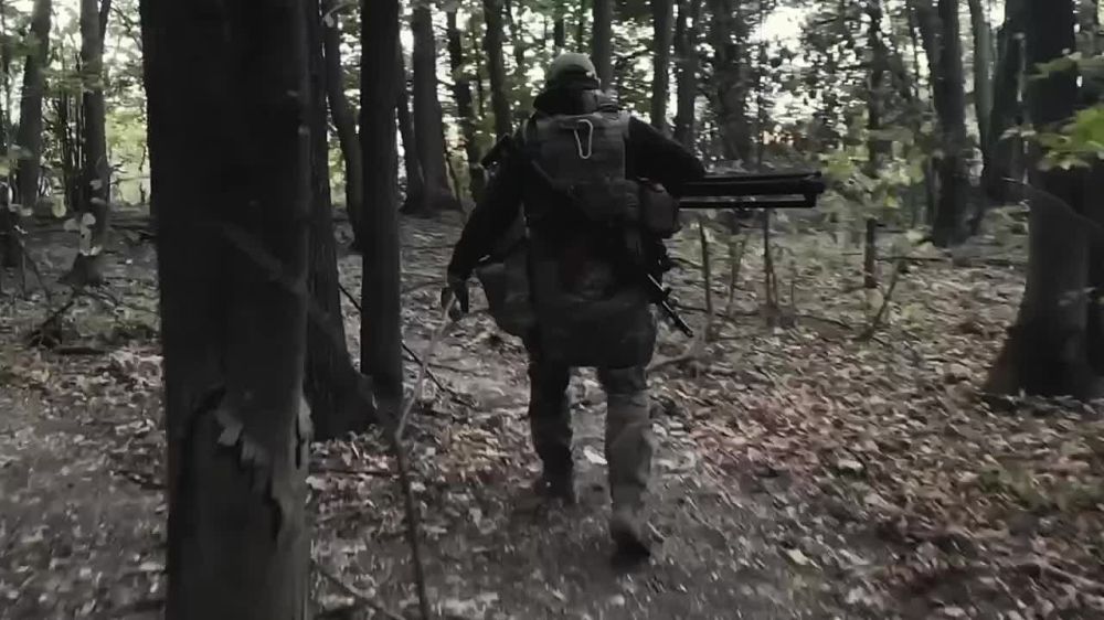 ���� ��������� - ��� �� ������ �����, ��� �������, ������� ����� � ������!