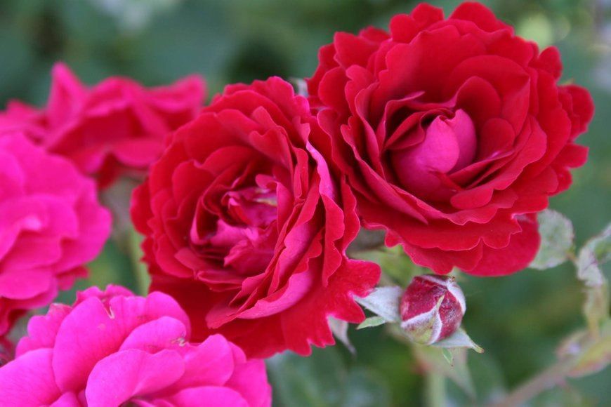 �������, 21 ��� ���������� ��������� ���� ����