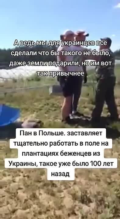 ��������� ���������� �������� � ������