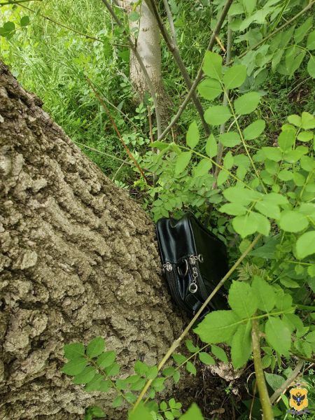 � ������������ ������ ����������� �������� ������ �������� ������� � ����������