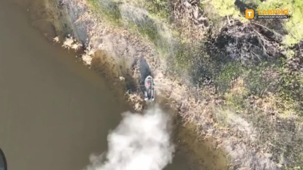 ������� ���� ����������� ����� "�����" ���������� ��� ����� ��� � ���������� �������