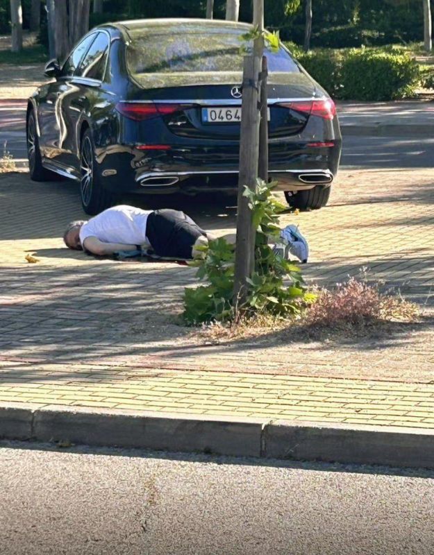 ������ ���� � ������ ���-���������� ��������� ������� ���������