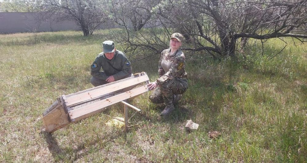 ������������ ���������� ���������� ���������� ������� �� ���� � ���������� ������