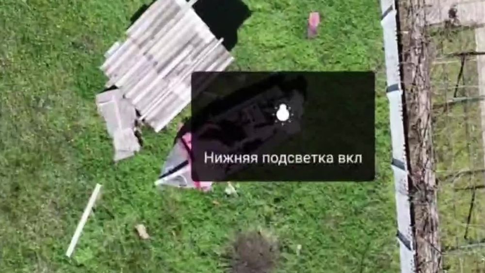 ׸���, ���������, �����������