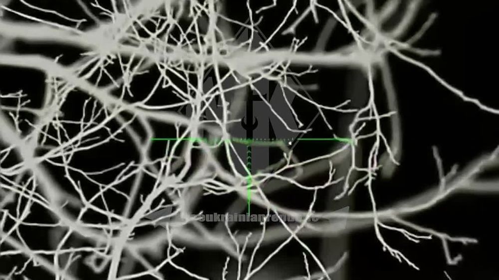 ����� ��������� ��. ������� ��������� ���������� ���������� ������� ���������� �� ��������������� ����������� ��������� � �� ��