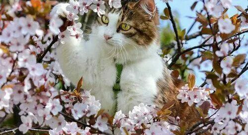 . � ��������� ��� , ���� ��������� , � �������� ����� �������