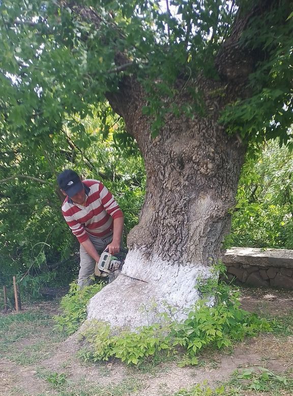 ����� ������������ ����� ���� ��������� ������ �� ����� ��������� ��������