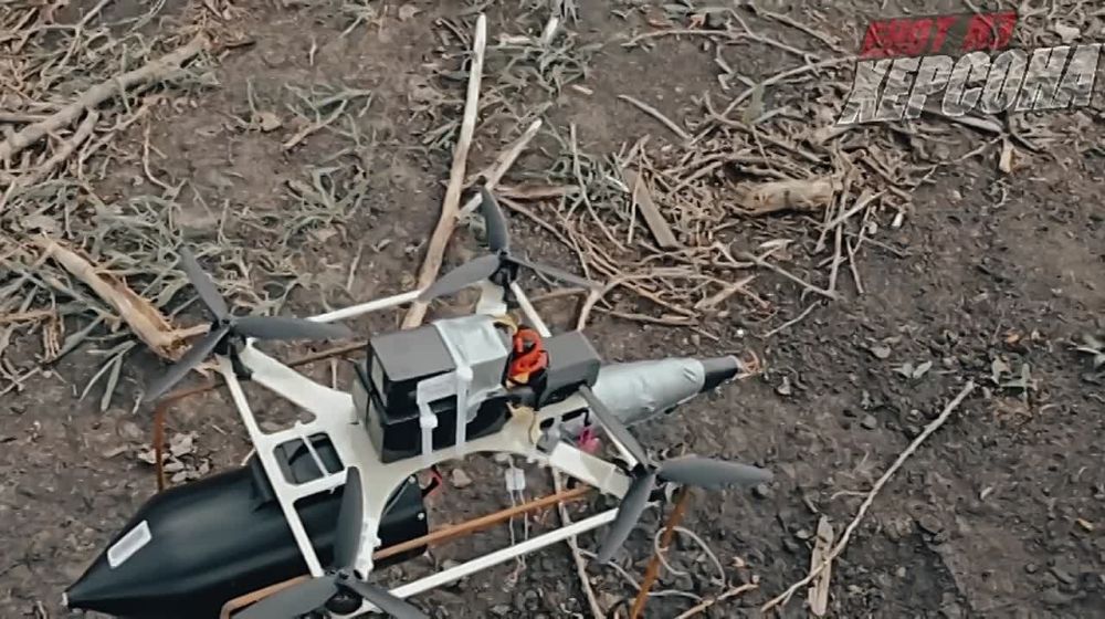 ���� �� �������: ������� ���� �������� ����������� ���������� ������� � ����� ���� ���, ������ ������ � ������� ���������� � ������� �������