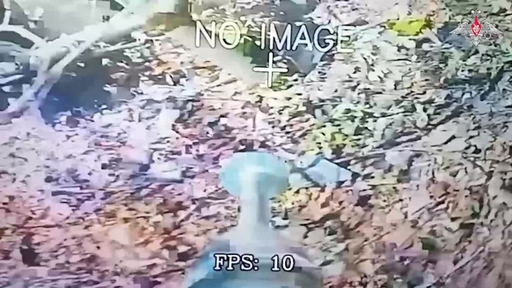 ���������� ������: ��������� ���������� ������� �������� �� �����