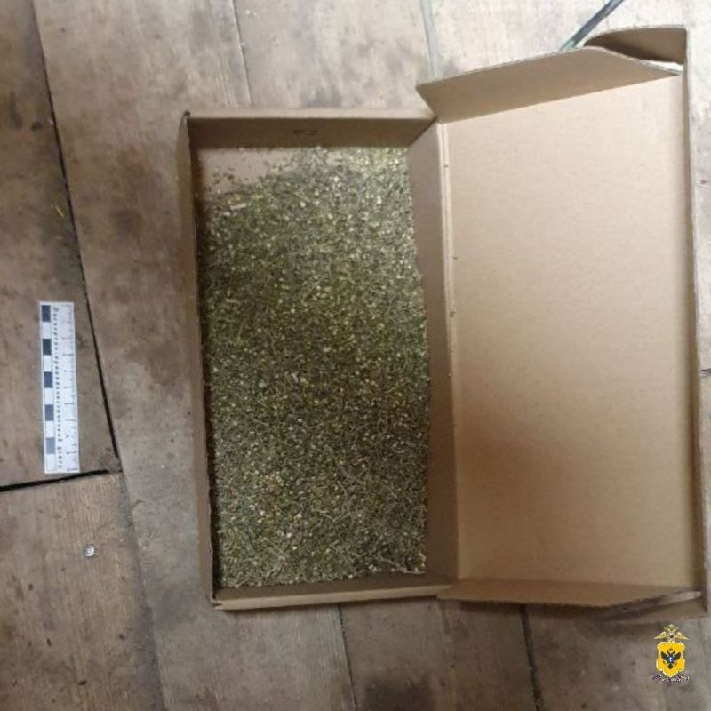 ���������� ������� ������ � ������ ������������ ������ 141 ���� �������