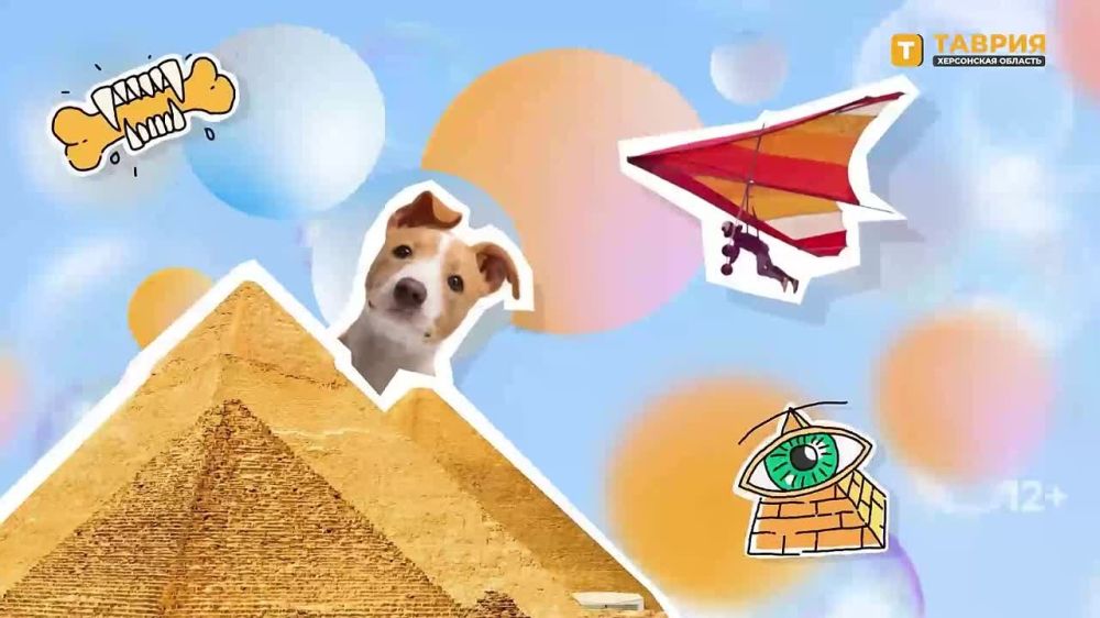 "���������� ����" � �������� ������������ �������� �� ����� ����