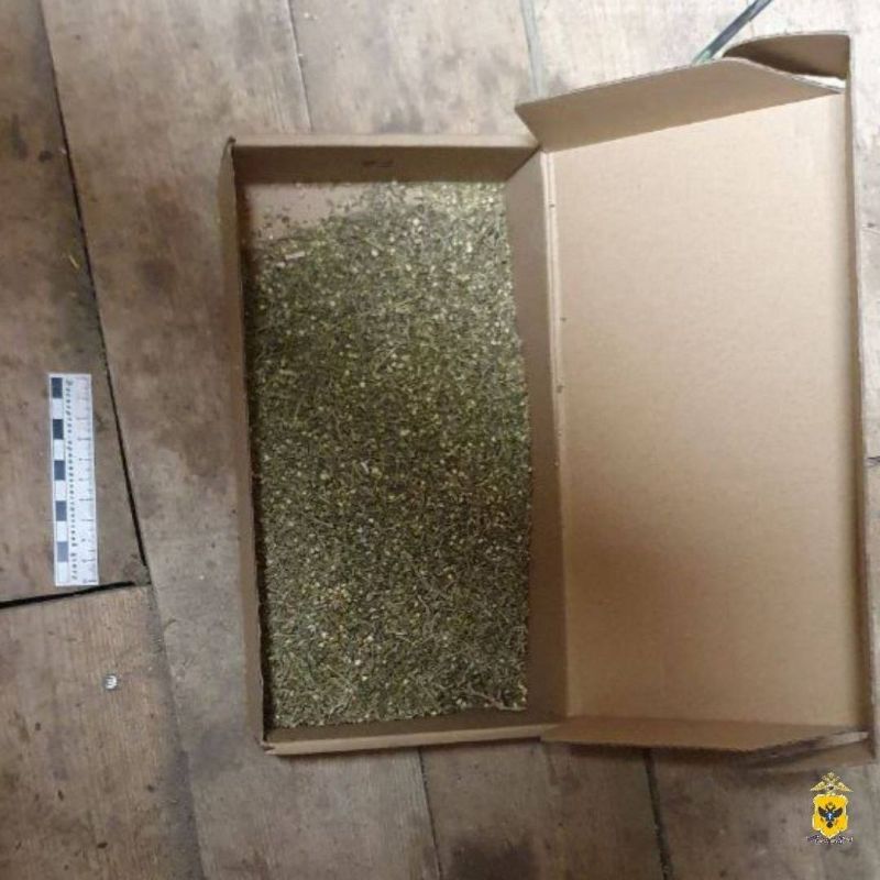 ������� ���������� ������� ������ 141 ���� ������� � �������� ������, ���������� � ����� ����������