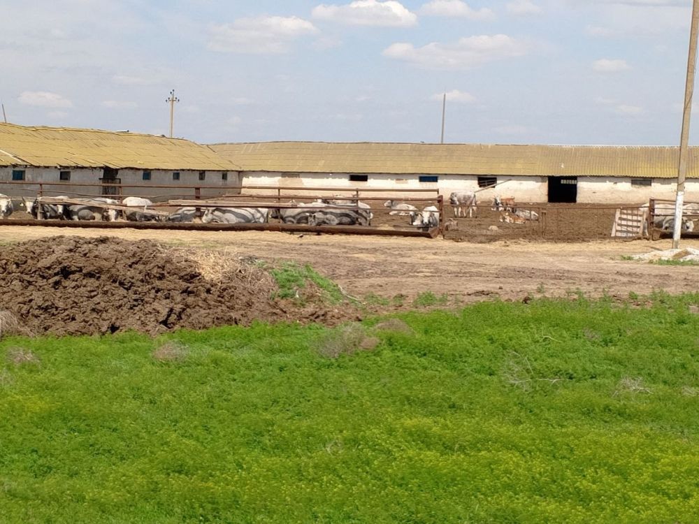 ���������������� ������ 11 ��������� ������������ ������ ���������� ��������������� � ���������� �������