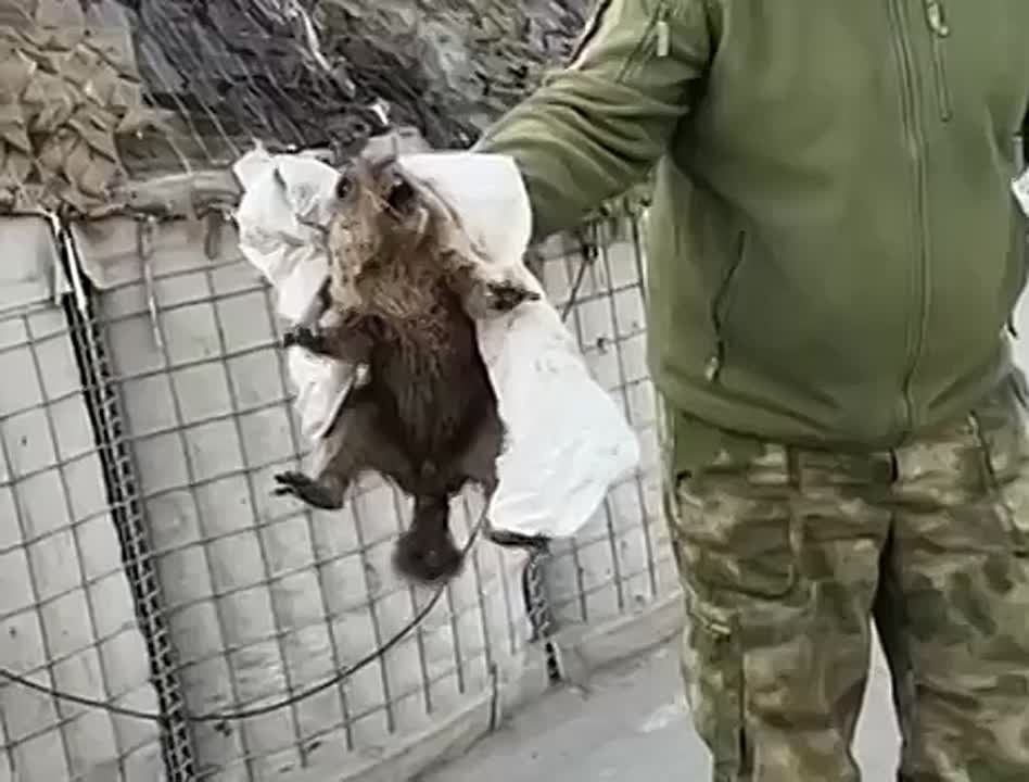 ��� ������� �� ������������� ������ ������� �������������������� �����-����������!