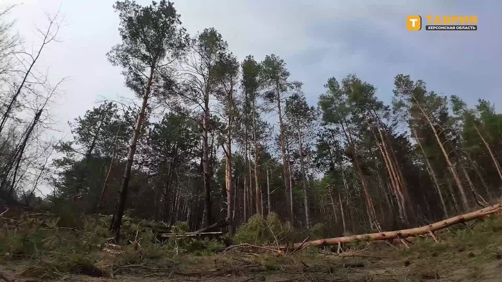 Ульяновские артиллеристы-десантники уничтожили командный пункт и пункт управления БпЛА ВСУ на правом берегу Днепра