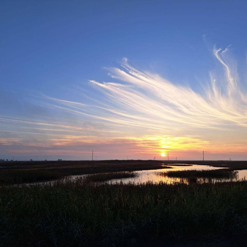 ���������� ������� � �����: ���������� �������� ������ �������� ������� ������� ����