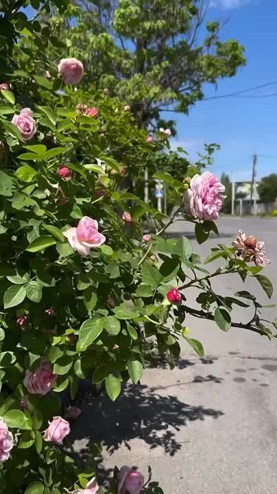 ��� ������. � �������� ����!