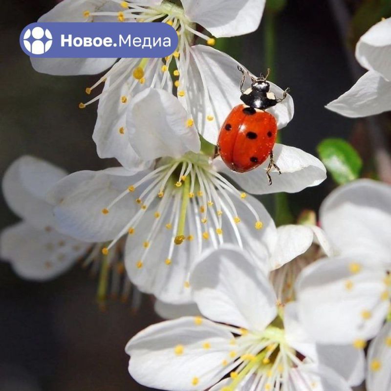 ��� ����� ���� ���������� �����? ������ ����� �� �����.����� � ����������