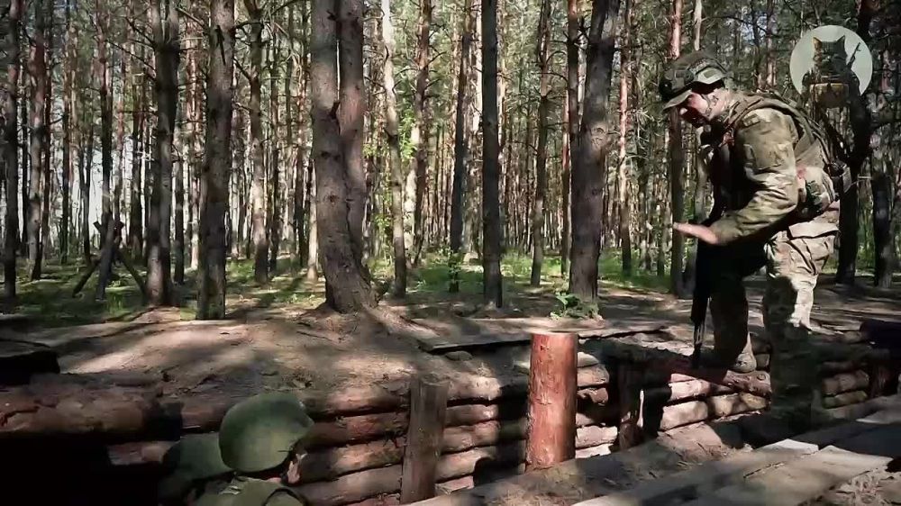 �� ���� ����� �� ������ �������, ��� ����� ����� ������ �������� ����������� ���������� �� ��������