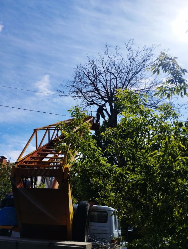 ��������� ������ ���� ���������� ��� ����� ������� ��������� ��������������