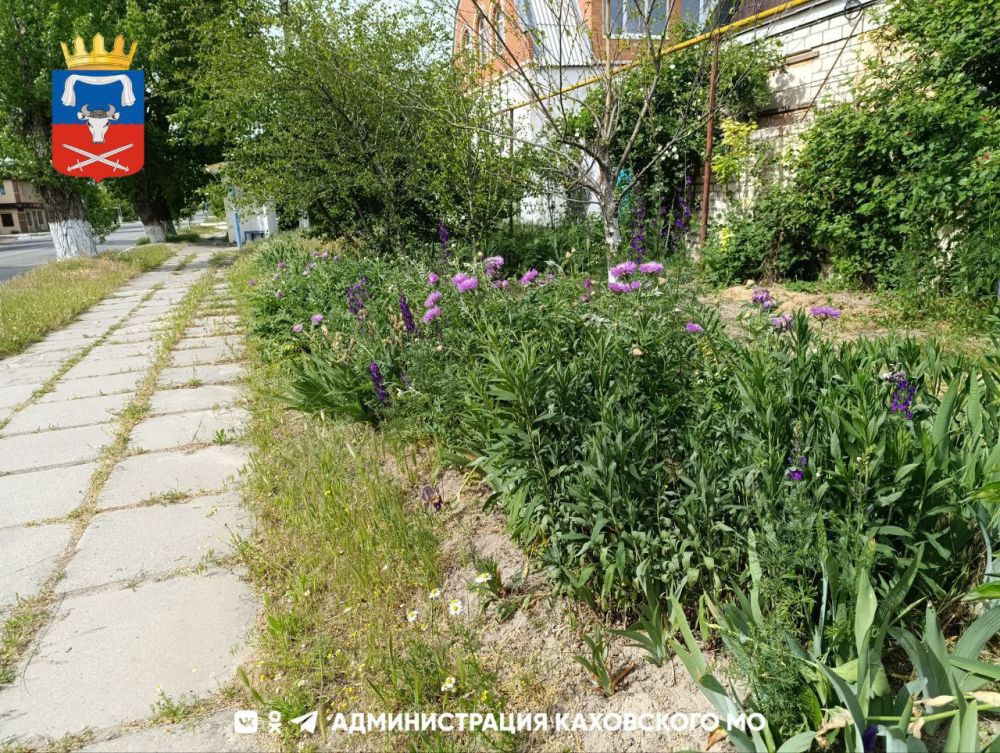 Доброе утро, жители Каховского муниципального округа!