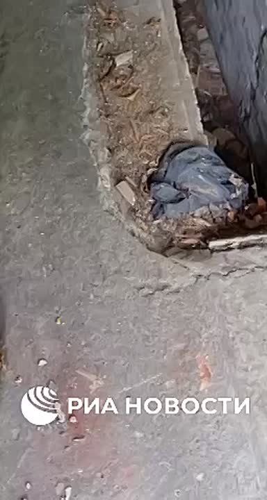 #обстановка_кратко. Военнослужащие группировки войск «Север» в окрестностях села Локня Сумской области уничтожили ПУ БпЛА ВСУ вместе с четырьмя операторами