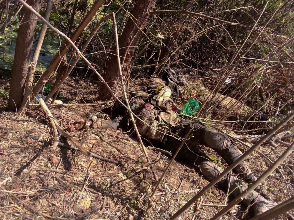 ���� ��� �� ������ ������ - ��� ��� �� �������� ����, � ����������� ������������ ������� �������