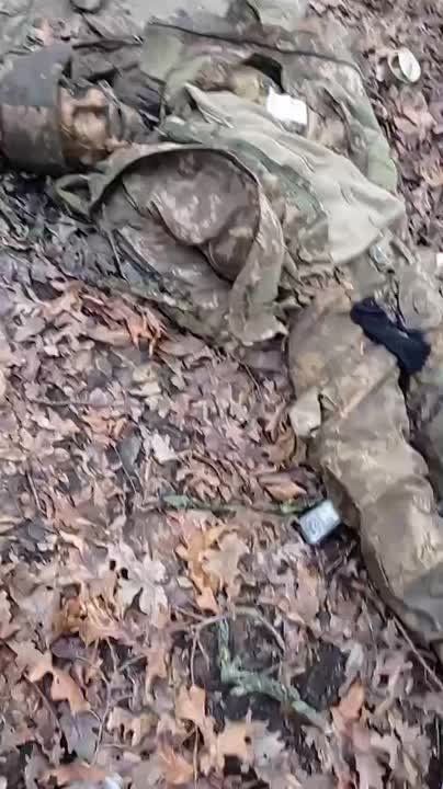 ��� ������� � �������� �����������