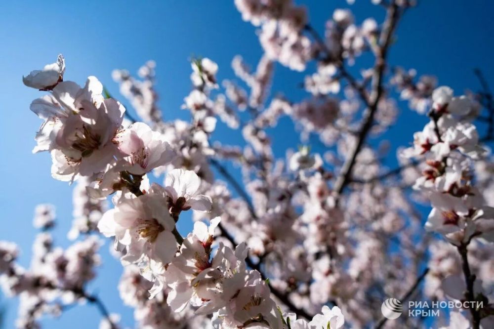 Погода на новых территориях России