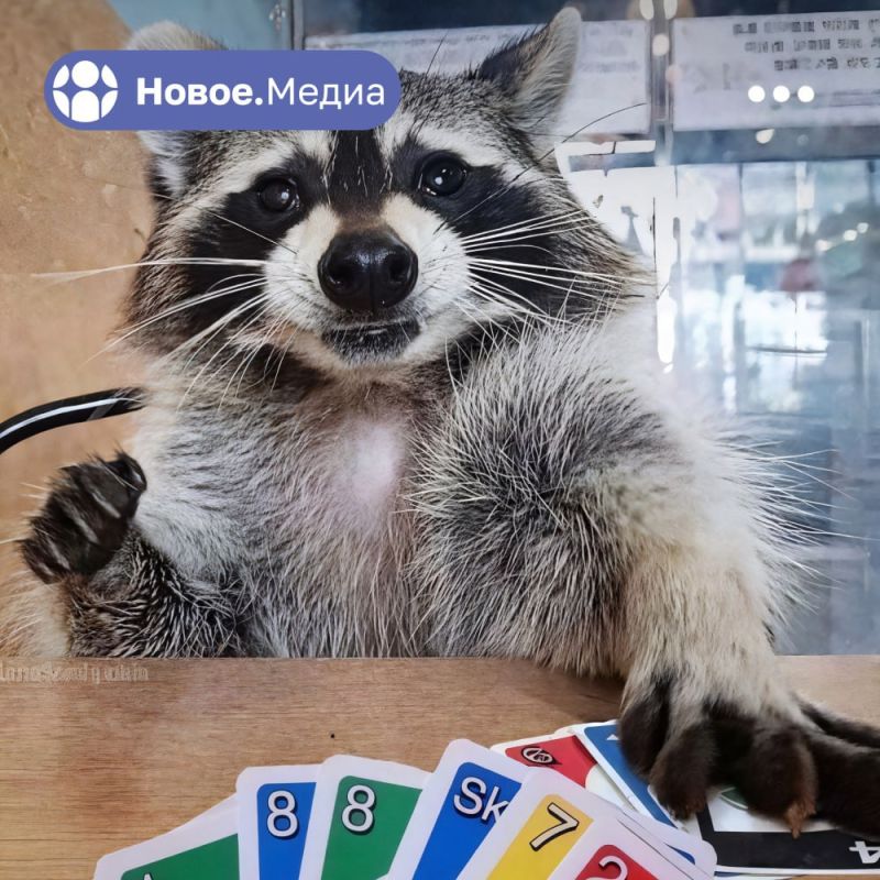 ���� �� �������: � ��� ������ �������, ���� �� ������� �����.����� � ����������