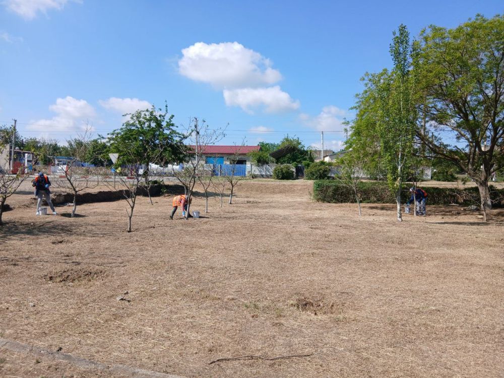 ��������������� ������� ��������