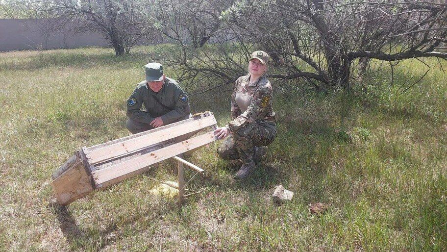 Минприроды выявило незаконные ловушки на фазанов и куропаток в Геническом районе