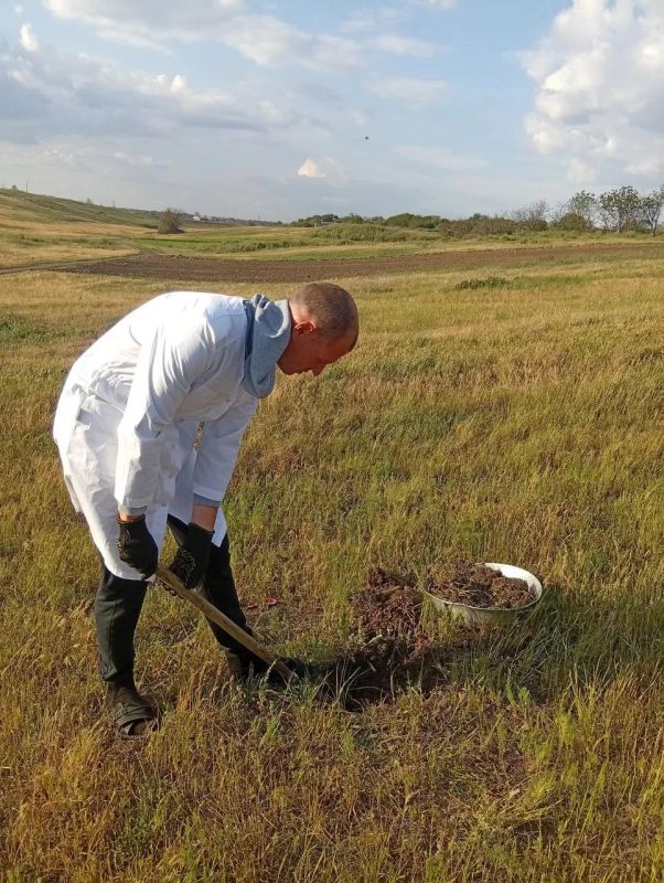 � ���������� ������� ��������� 16 �������� ����� �� ������� ������� � ������ ����������