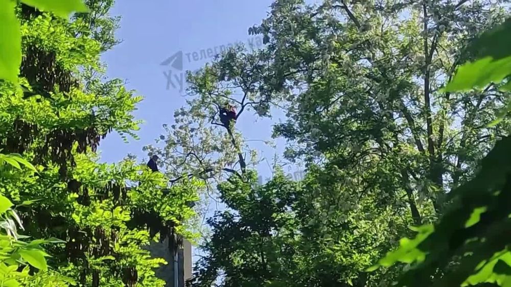 ������. ����� ��-����������