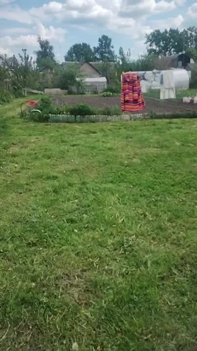 �������� ��-8 �������� �������� ��� ���������� ��������� ������ � ��������� �������, ������ �����, �������� ��� ������� � �����-������ ����������� �������� ������