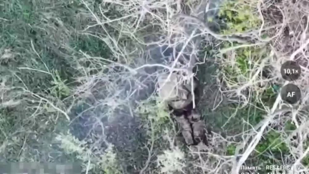 ��������� ������ ���������� ��������