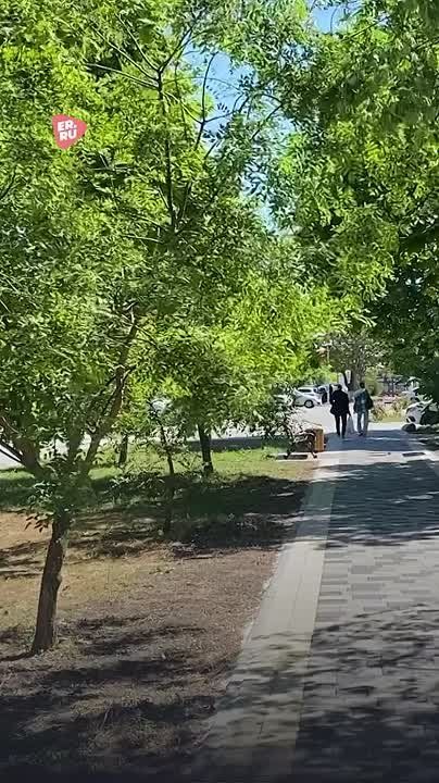 �� ������� ������������� ���������� ��������� ������, ������� �������� ��� ��������� ������ ������, ������ ��� ��������������� �����, ������ � ����������