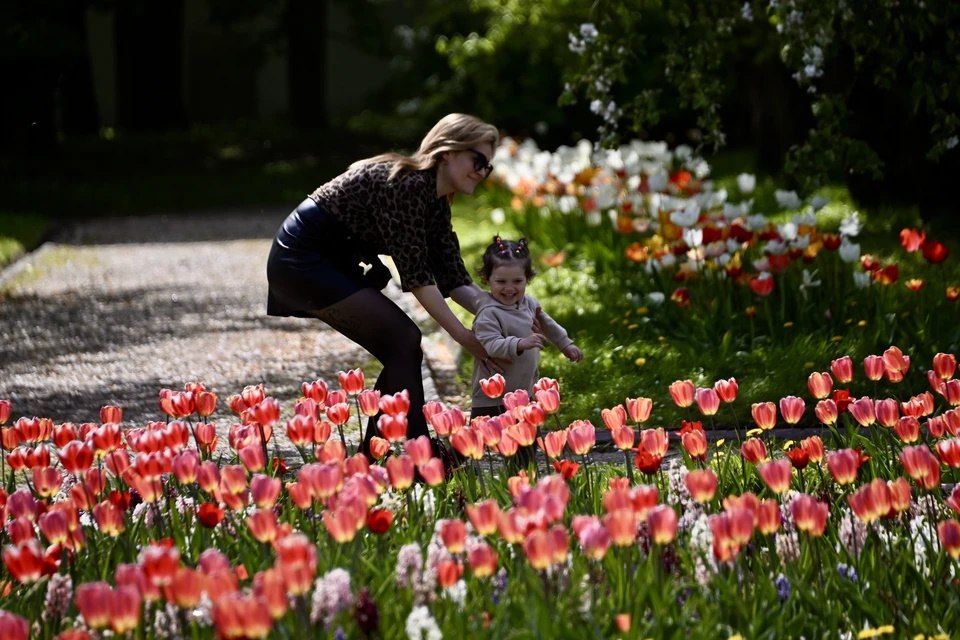 ����� ���� ��������� �����: ��� � ���������� ������� �������� ������ ������� � 2025 ����