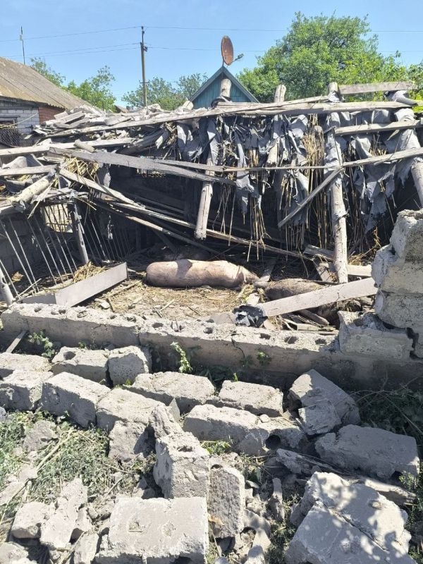 ������� ��� ���������� ������������� ��������� � ��������� � �����-���������� ������������������ ������