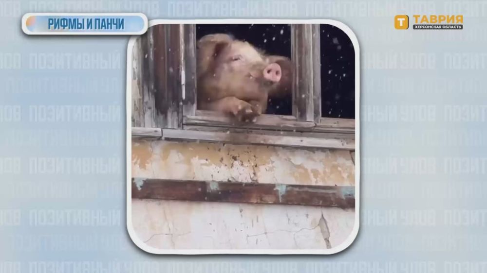 "���������� ����" � �������� ������������ �������� �� ����� ����