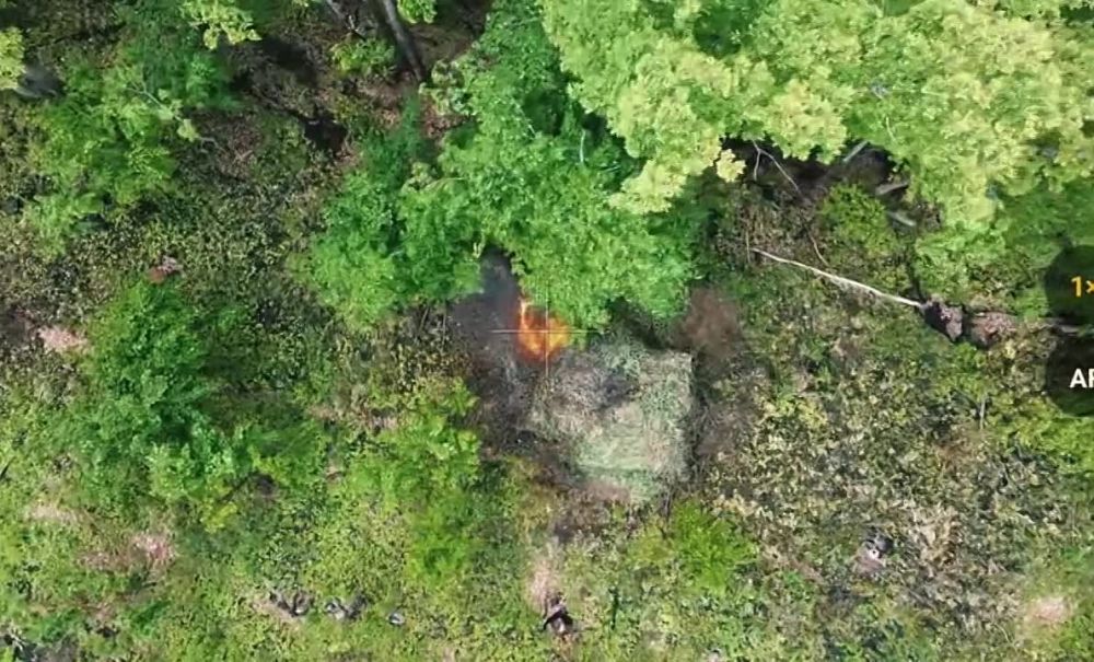 ��� ������ ����������. ����� ����������� ������������ 72 ��� 44 �� ������� ���������� ������������� � ����������� �������