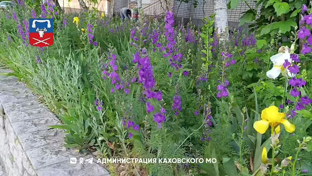 ������ ����, ������ ���������� �������������� ������!