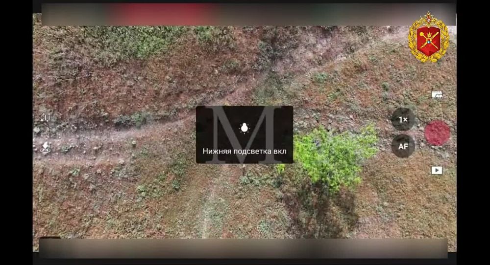 �� ���������� ����������� ����� 49 ����� ���������� ���������� ������ �������� ��� �������������!