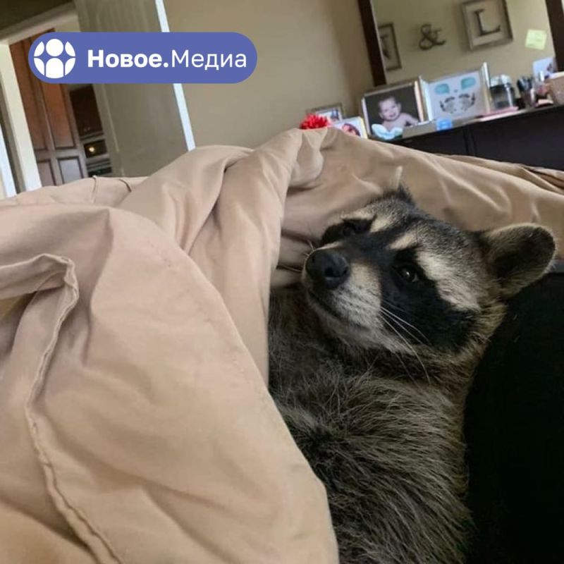 ���� �� �������: ��� ��� ��������� �� ������ ��� �������? ������, ���� ������ ��� ������ � ���������� �������!