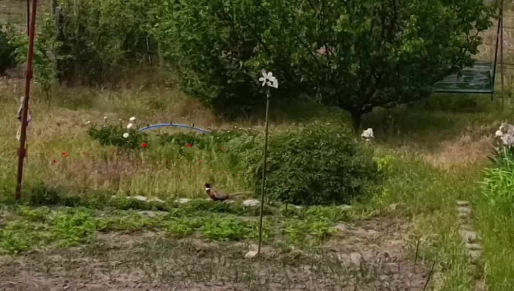 ���� ��������� ���������� ����������!