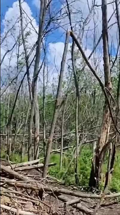 #������������_�����. �������������� ����������� ����� "�����" ����� � ���� ����������� ��������� ������������� 40 ��� ��� �������� ����������� �������, ��������� ������, ��� �� �������� ����� ������ ������� ��������...