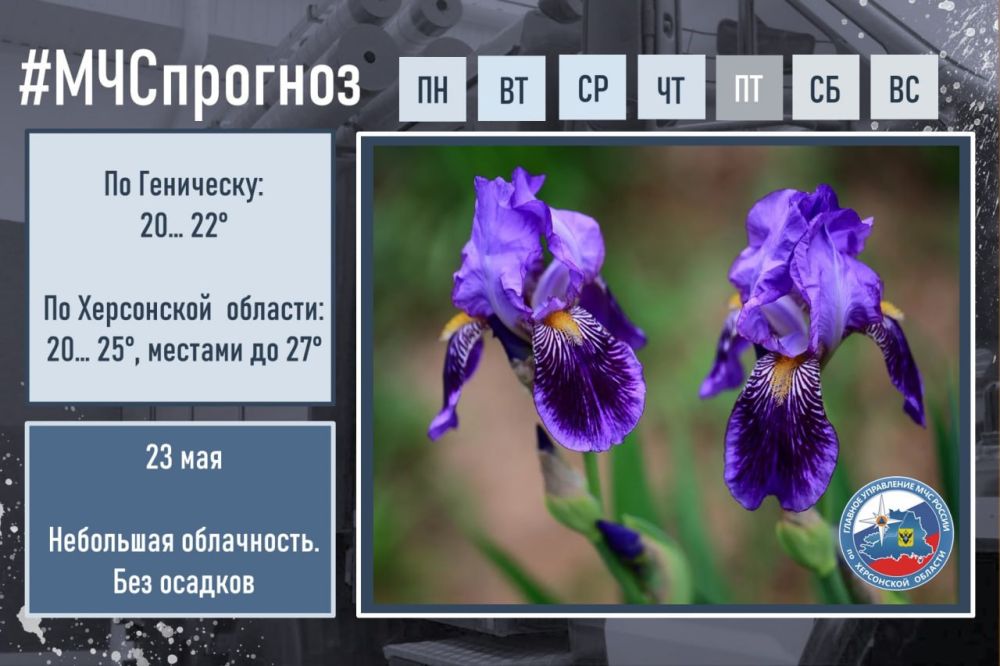 #����������. ��� � ������ �������� ���������: