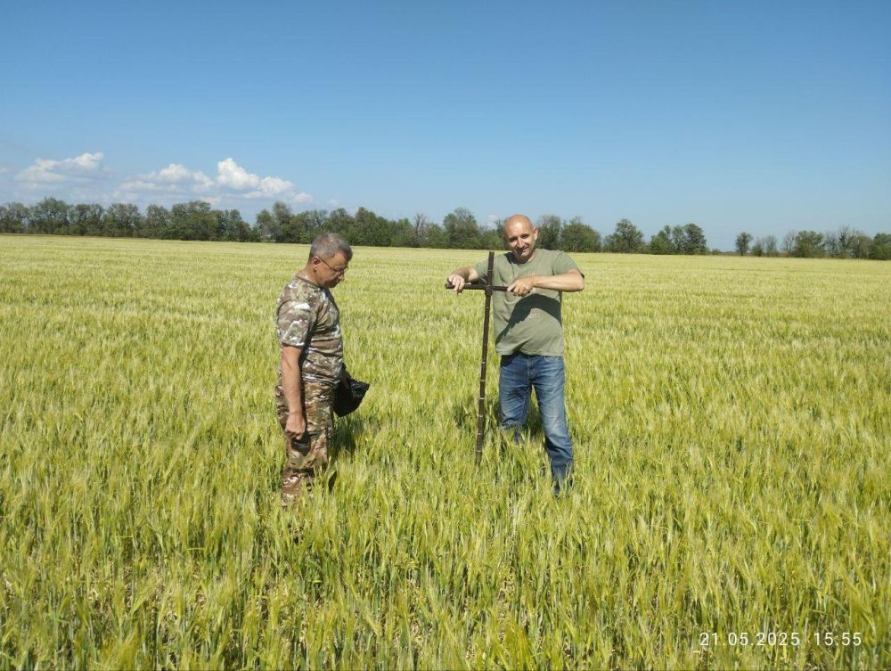 � ���������� ������� �������� ���������� ����