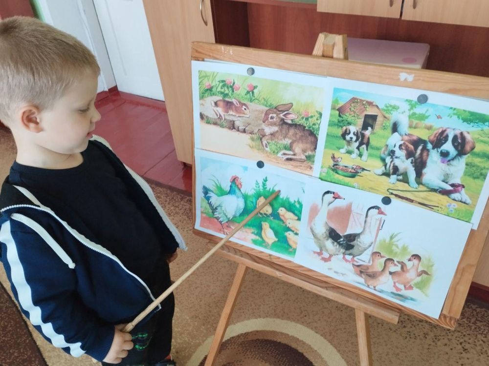 �������� ��������� ���� ������������� ����������� �������� ����