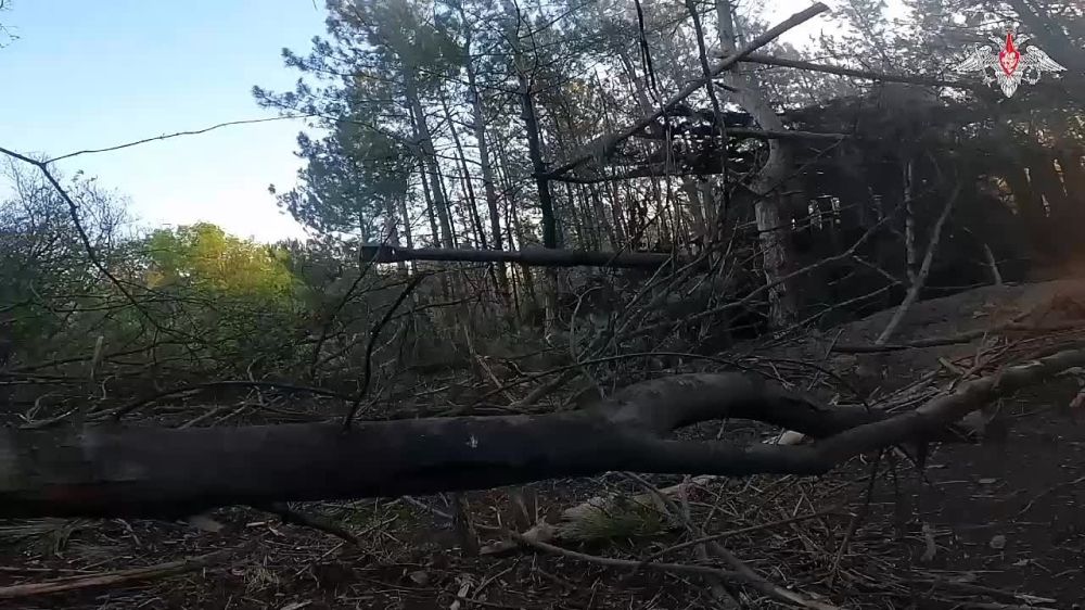 ������ ������ ��������������� ������� �����-ѻ 49-� �����